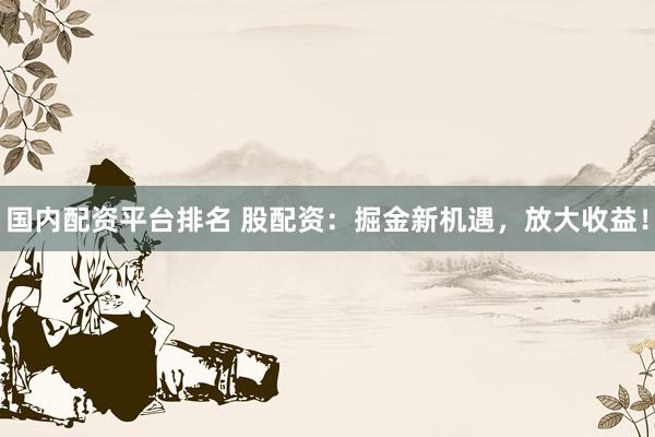 国内配资平台排名 股配资：掘金新机遇，放大收益！
