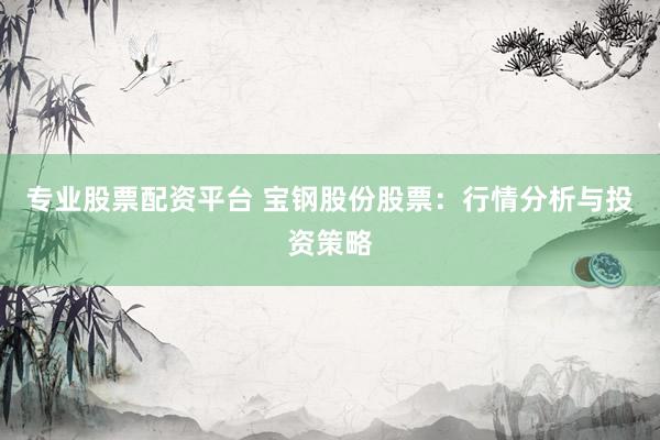 专业股票配资平台 宝钢股份股票：行情分析与投资策略