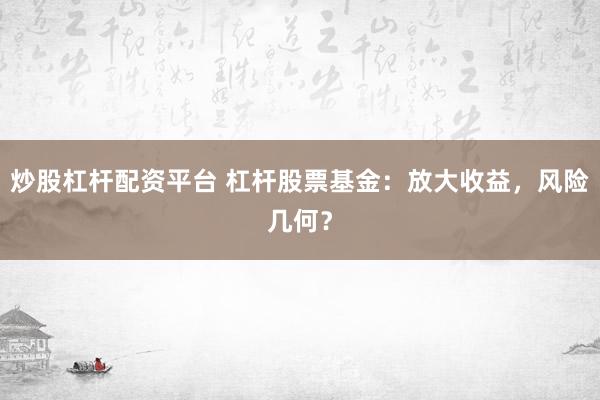 炒股杠杆配资平台 杠杆股票基金：放大收益，风险几何？