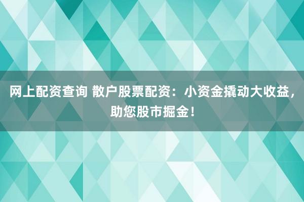 网上配资查询 散户股票配资:小资金撬动大收益,助您股市掘金!