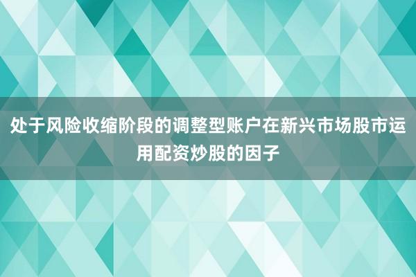 处于风险收缩阶段的调整型账户在新兴市场股市运用配资炒股的因子