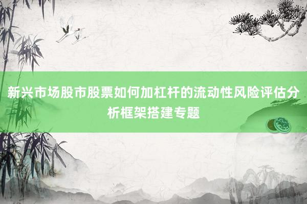 新兴市场股市股票如何加杠杆的流动性风险评估分析框架搭建专题