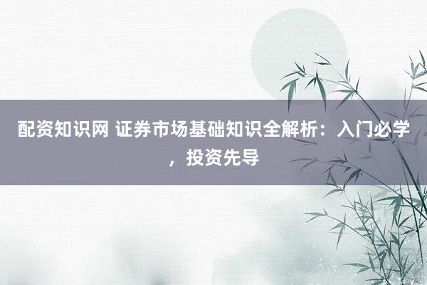 配资知识网 证券市场基础知识全解析：入门必学，投资先导