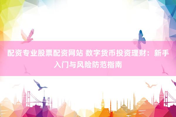 配资专业股票配资网站 数字货币投资理财:新手入门与风险防范指南