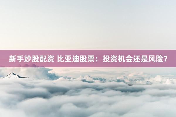新手炒股配资 比亚迪股票：投资机会还是风险？